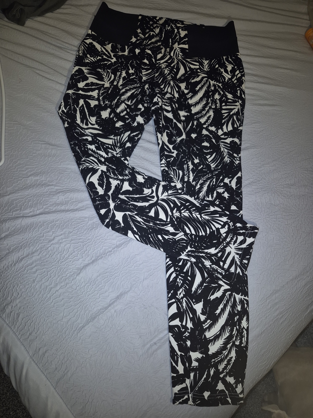 Signature Studio Black & White Tropical Print Leggings